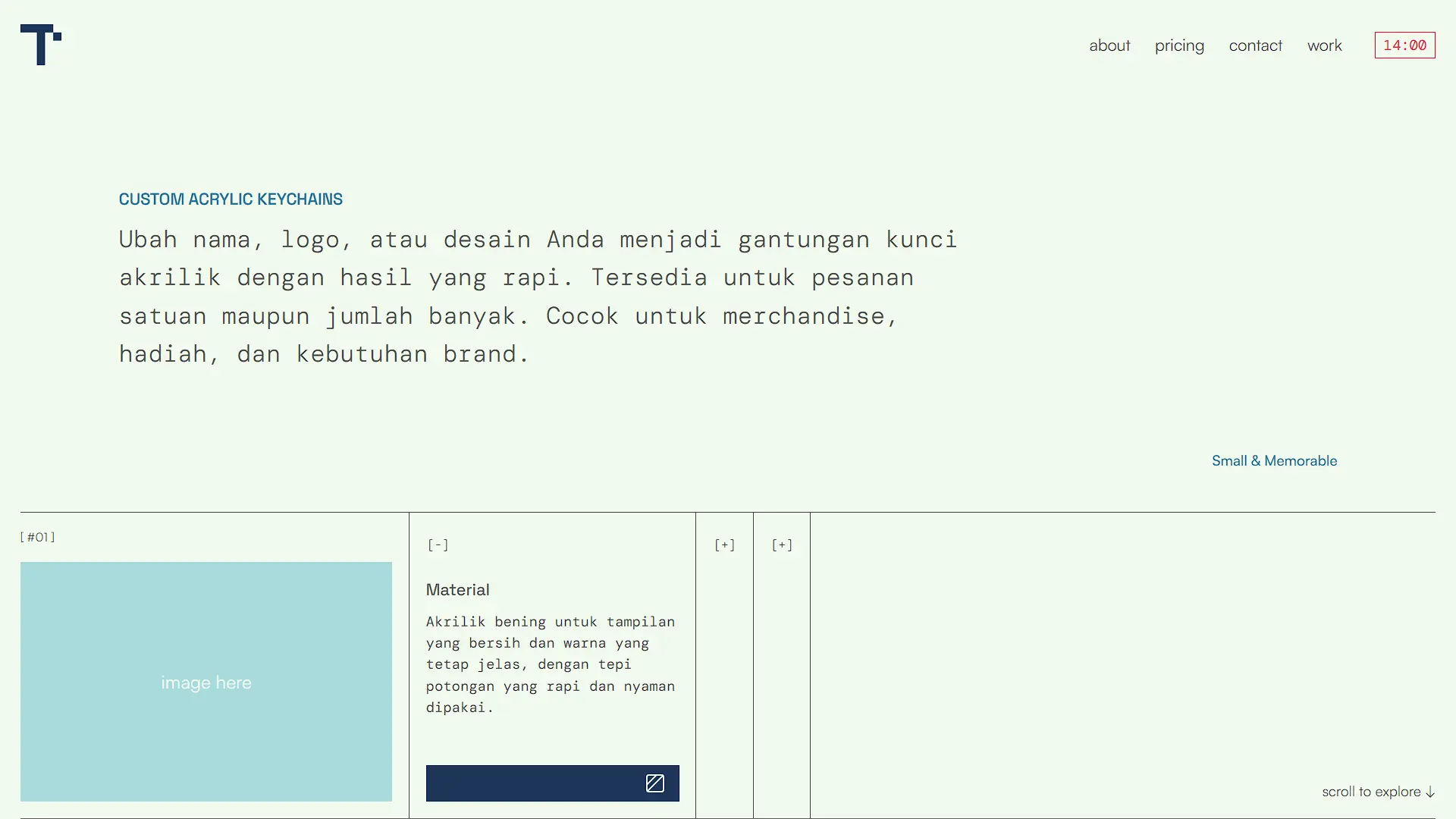 Teremis - Custom Acrylic Keychain